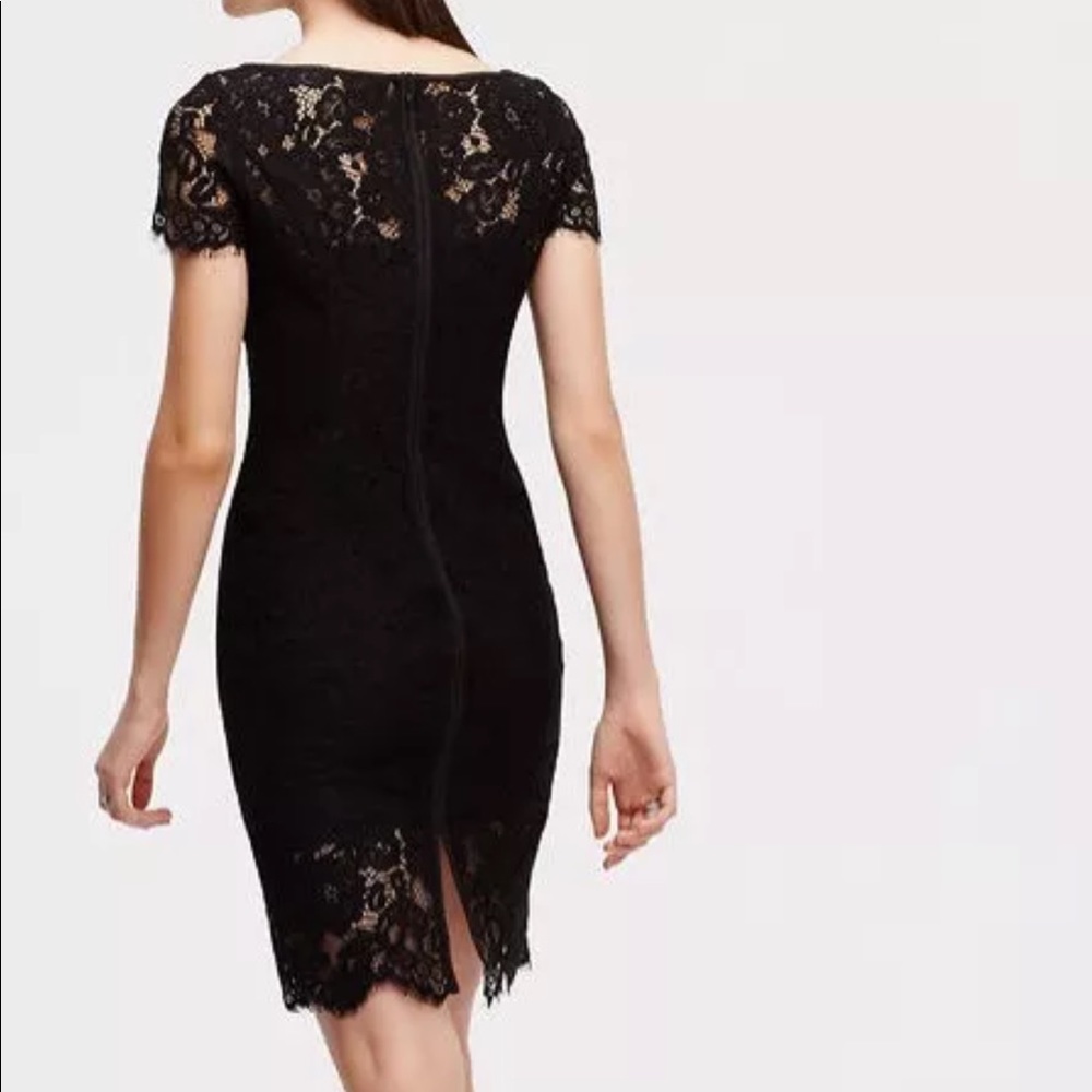Ann Taylor Tall Lace Sheath Dress Short Sleeve 391029 - Picture 2 of 8